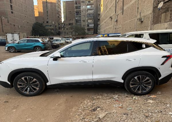 جيتور داشينج 2025